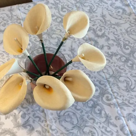 贝伦公寓 * Lisboa